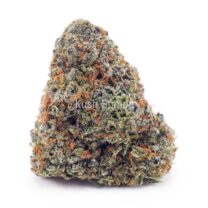Buy Astro Boy AAAA at Kush Station Online Store