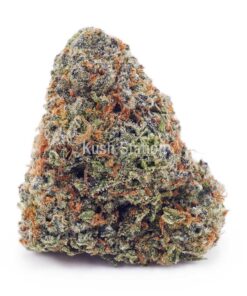 Buy Astro Boy AAAA at Kush Station Online Store
