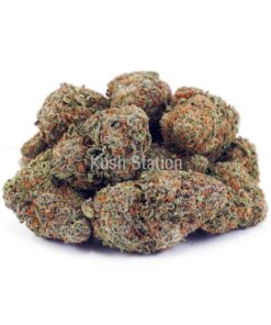 Buy Astro Boy AAAA at Kush Station Online Store