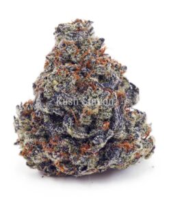 Buy Truffle Cake AAAA at Kush Station Online Store