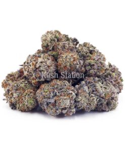 Buy Truffle Cake AAAA at Kush Station Online Store