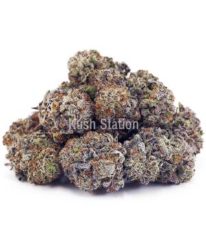 Buy Truffle Cake AAAA at Kush Station Online Store
