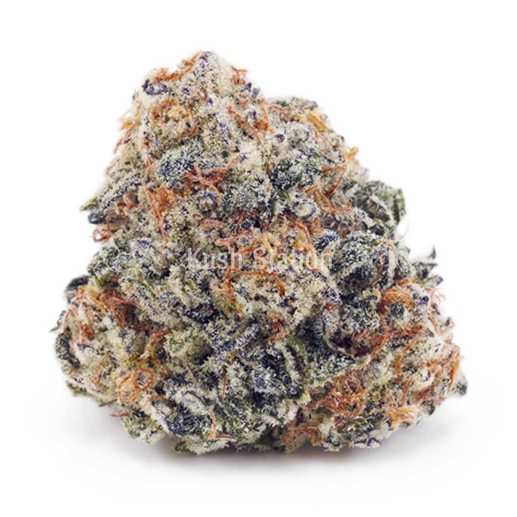 Buy Durban Haze AAA - Only Gas at Kush Station Online Store