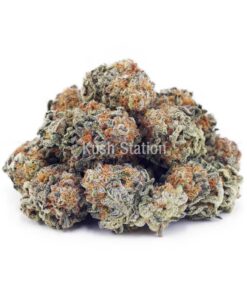 Buy Durban Haze AAA - Only Gas at Kush Station Online Store