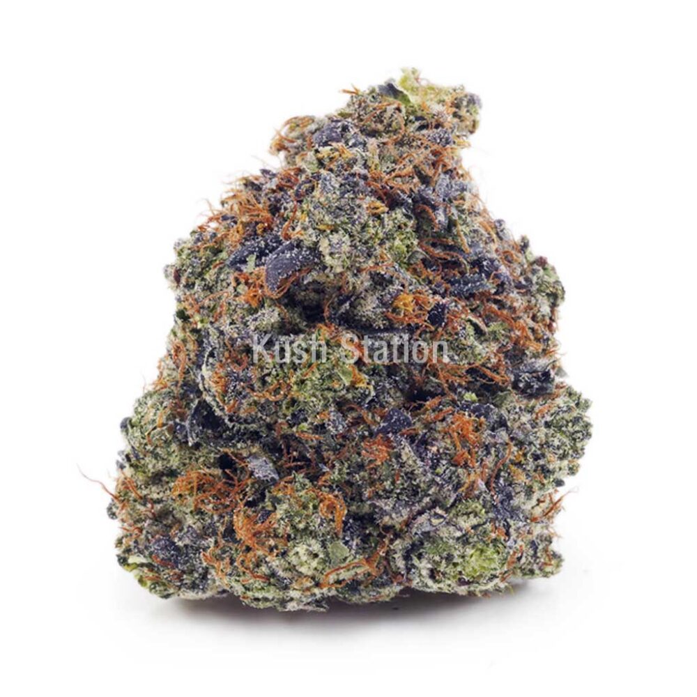Buy Atomic Northern Lights AAA at Kush Station Online Store