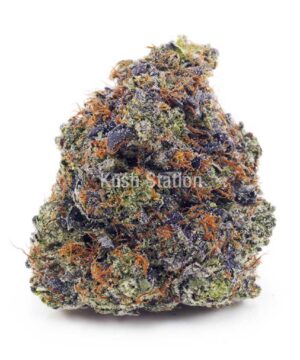 Buy Atomic Northern Lights AAA at Kush Station Online Store