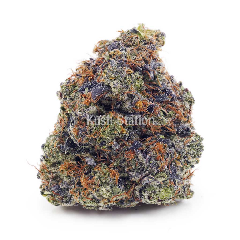 Buy Atomic Northern Lights AAA at Kush Station Online Store