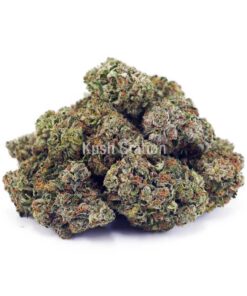 Buy Atomic Northern Lights AAA at Kush Station Online Store