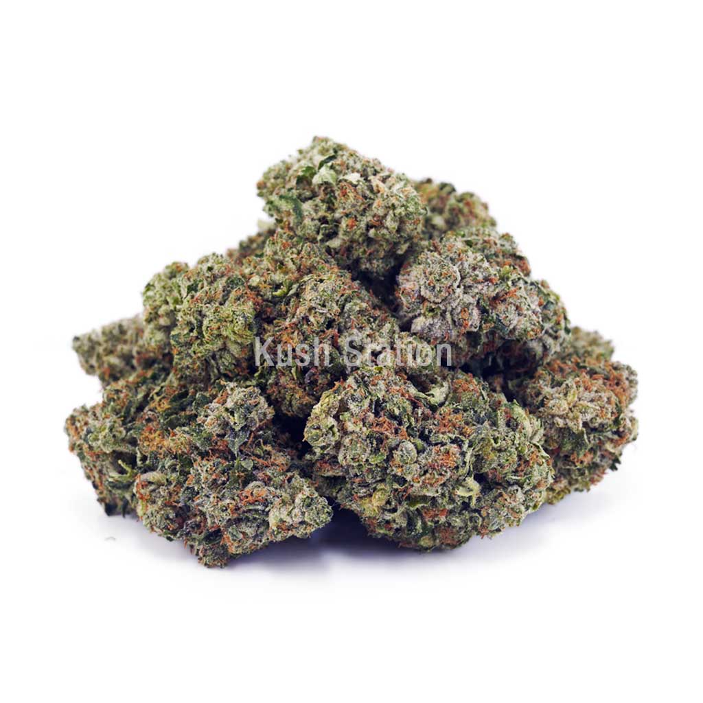 Buy Atomic Northern Lights AAA at Kush Station Online Store