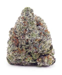 Buy Super Buff Cherry (Craft Cannabis) at Kush Station Online Store