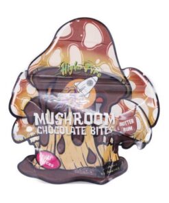 Buy Higher Fire Extract - Mushroom Chocolate Bites - Butter Rum 4000mg at Kush Station Online Shop