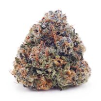 Buy White Biscotti AAAA at Kush Station Online Store