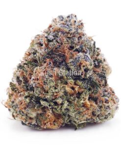 Buy White Biscotti AAAA at Kush Station Online Store