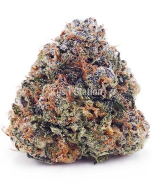 Buy White Biscotti AAAA at Kush Station Online Store