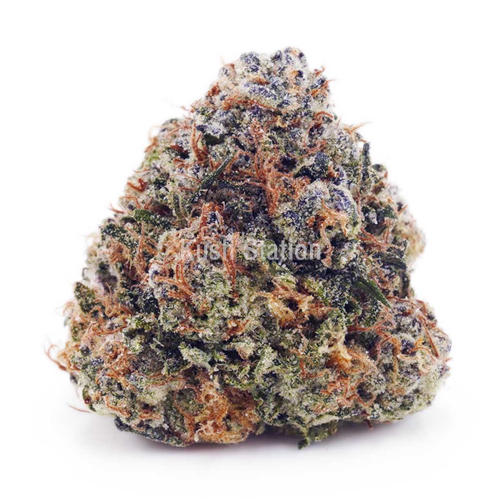 Buy White Biscotti AAAA at Kush Station Online Store