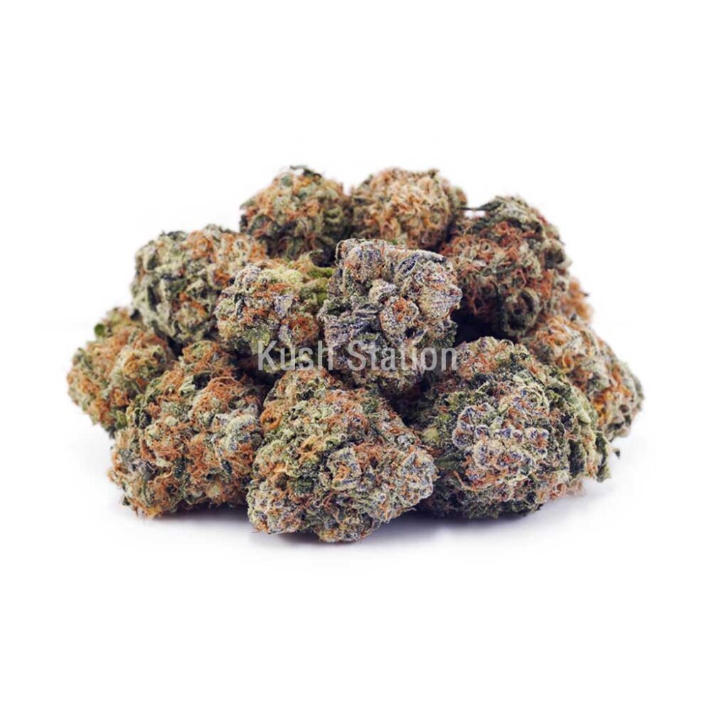 Buy White Biscotti AAAA at Kush Station Online Store