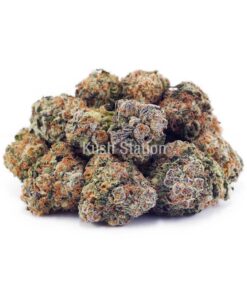 Buy White Biscotti AAAA at Kush Station Online Store