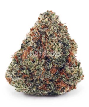 Buy Blue Dream AAAA at Kush Station Online Store