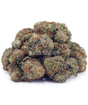 Buy Blue Dream AAAA at Kush Station Online Store