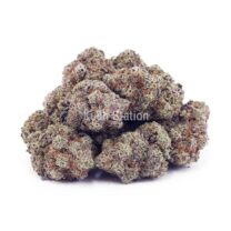 Buy Do Si Do AAAA at Kush Station Online Store