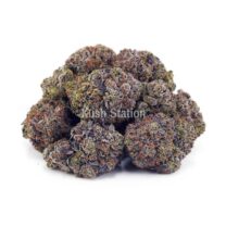 Buy Purple Crack AAAA at Kush Station Online Store