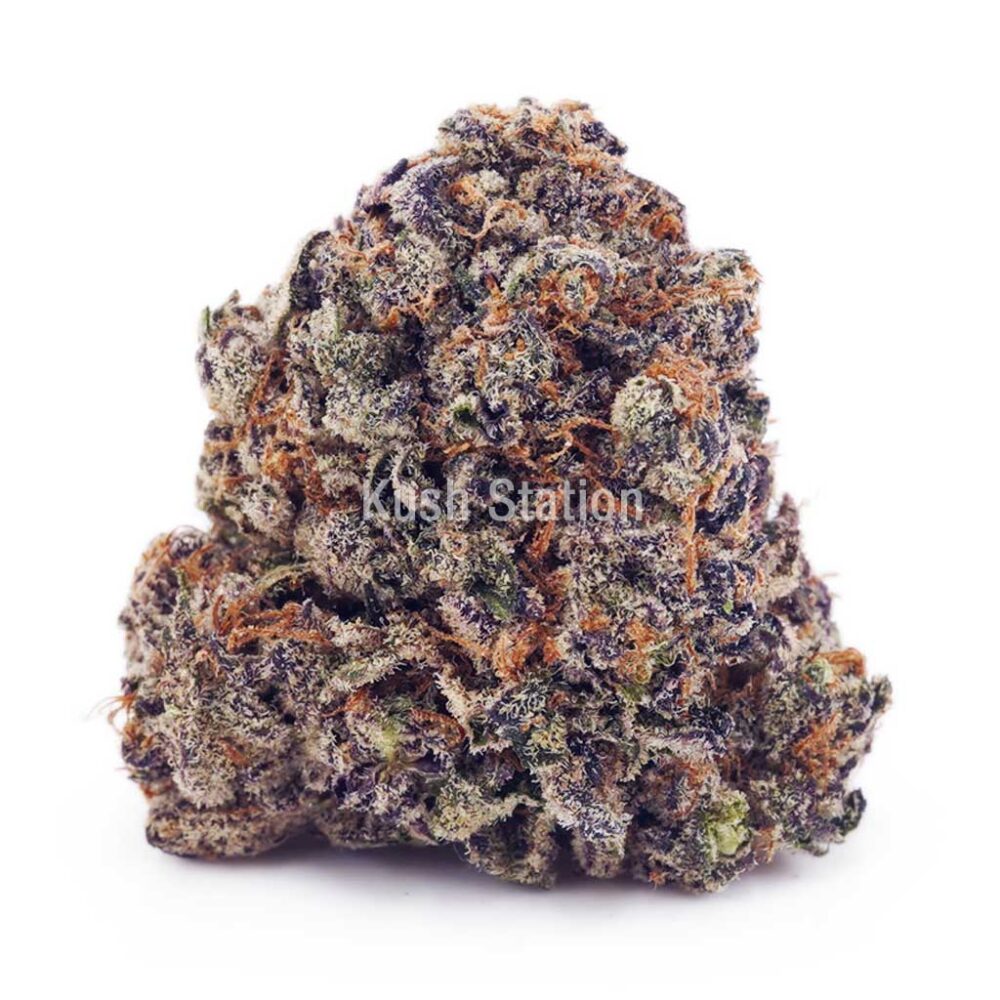Buy Orange Crush AAA at Kush Station Online Store