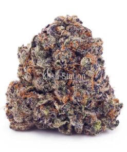 Buy Orange Crush AAA at Kush Station Online Store