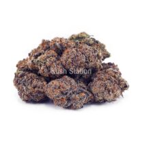 Buy Orange Crush AAA at Kush Station Online Store