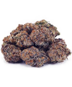 Buy Orange Crush AAA at Kush Station Online Store