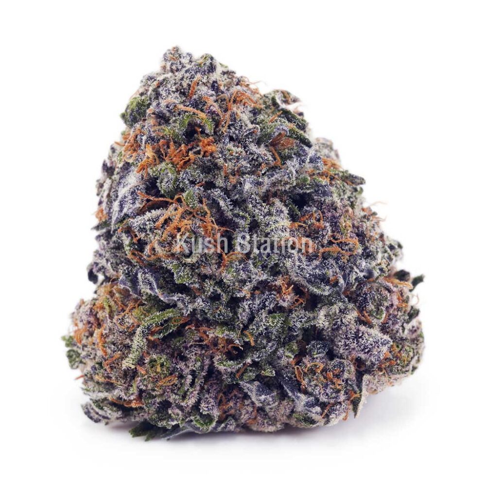 Buy Granddaddy Purple AAA at Kush Station Online Store