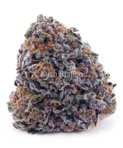 Buy Granddaddy Purple AAA at Kush Station Online Store