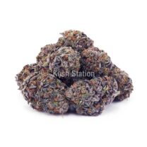 Buy Granddaddy Purple AAA at Kush Station Online Store