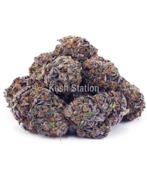 Buy Granddaddy Purple AAA at Kush Station Online Store