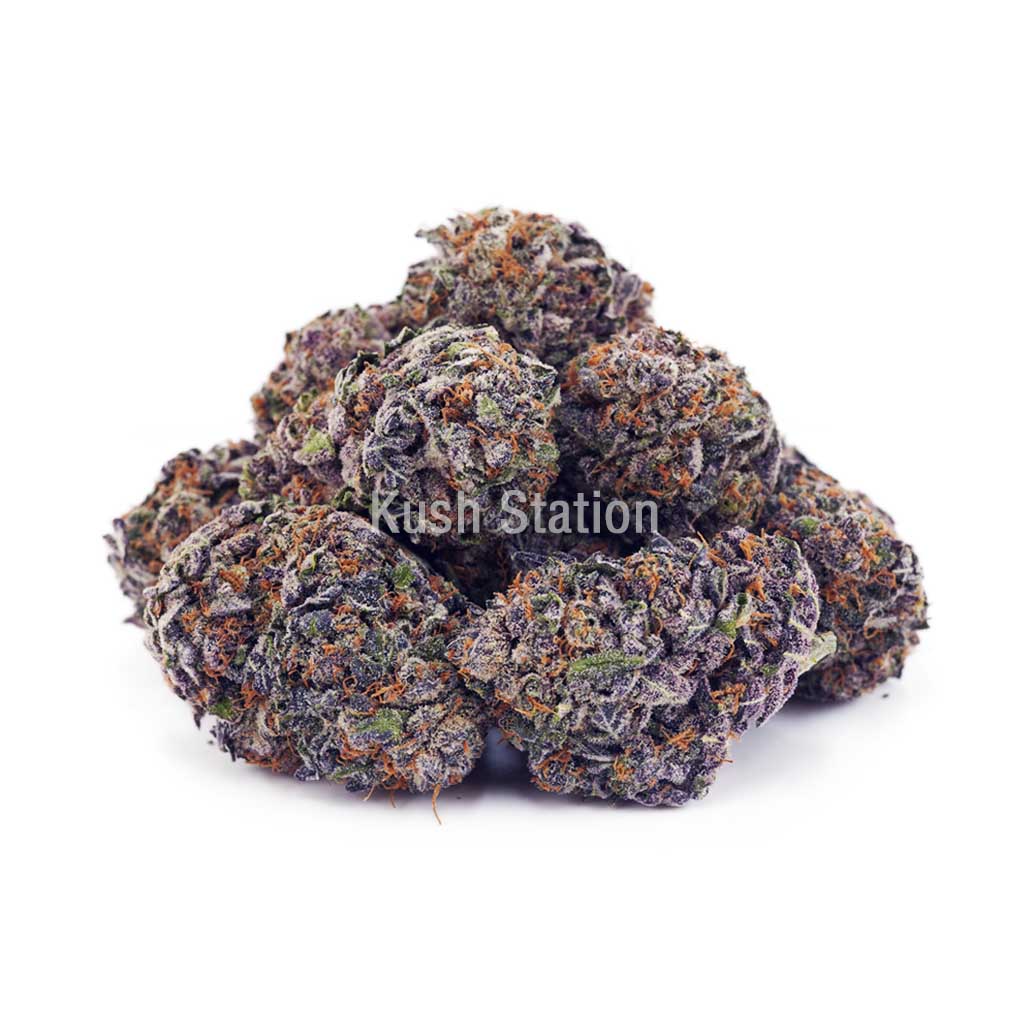 Buy Granddaddy Purple AAA at Kush Station Online Store