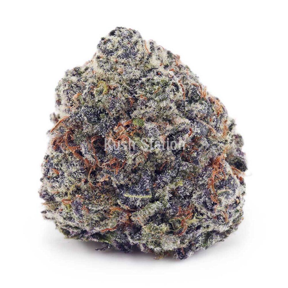Buy Monster Cookies AAA - High Grade Farms at Kush Station Online Store