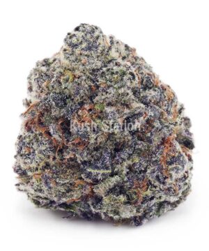 Buy Monster Cookies AAA - High Grade Farms at Kush Station Online Store