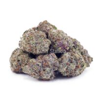 Buy Monster Cookies AAA - High Grade Farms at Kush Station Online Store
