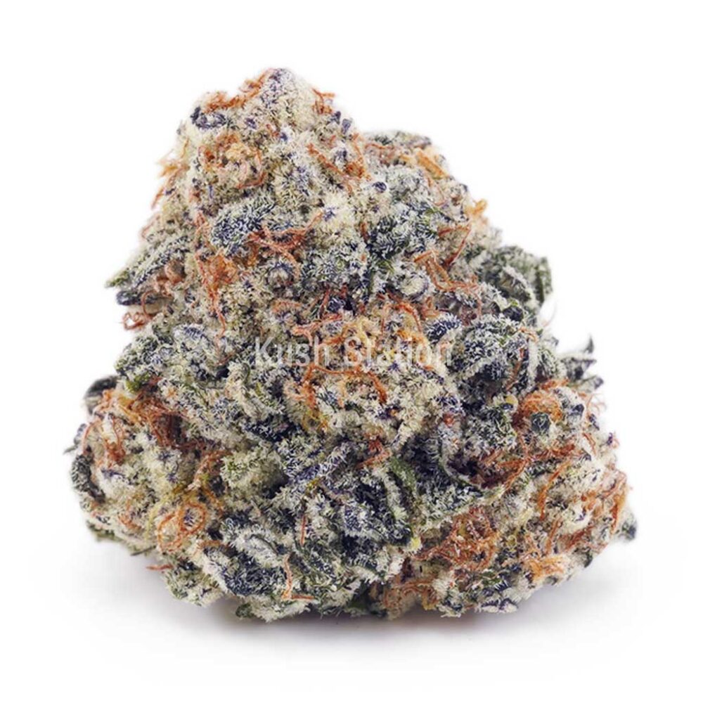 Buy Banana Mintz - High Grade Farms AA at Kush Station Online Store