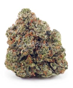 Buy OG Kush AA at Kush Station Online Store
