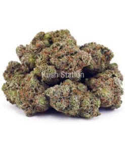 Buy OG Kush AA at Kush Station Online Store