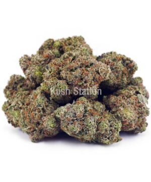 Buy OG Kush AA at Kush Station Online Store
