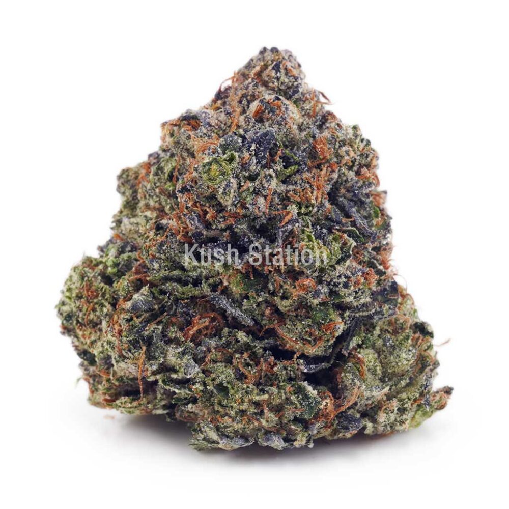 Buy El Chapo AA at Kush Station Online Store