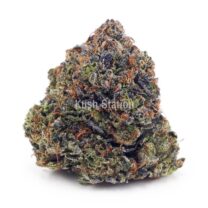 Buy El Chapo AA at Kush Station Online Store