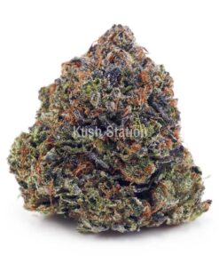 Buy El Chapo AA at Kush Station Online Store