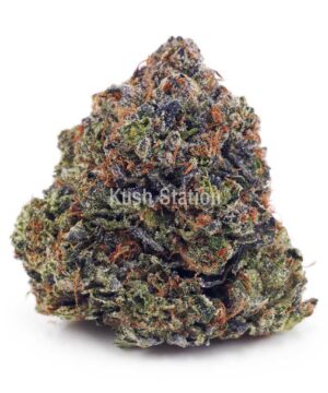 Buy El Chapo AA at Kush Station Online Store