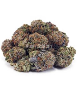 Buy El Chapo AA at Kush Station Online Store
