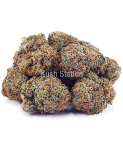 Buy Diamond OG AA at Kush Station Online Store