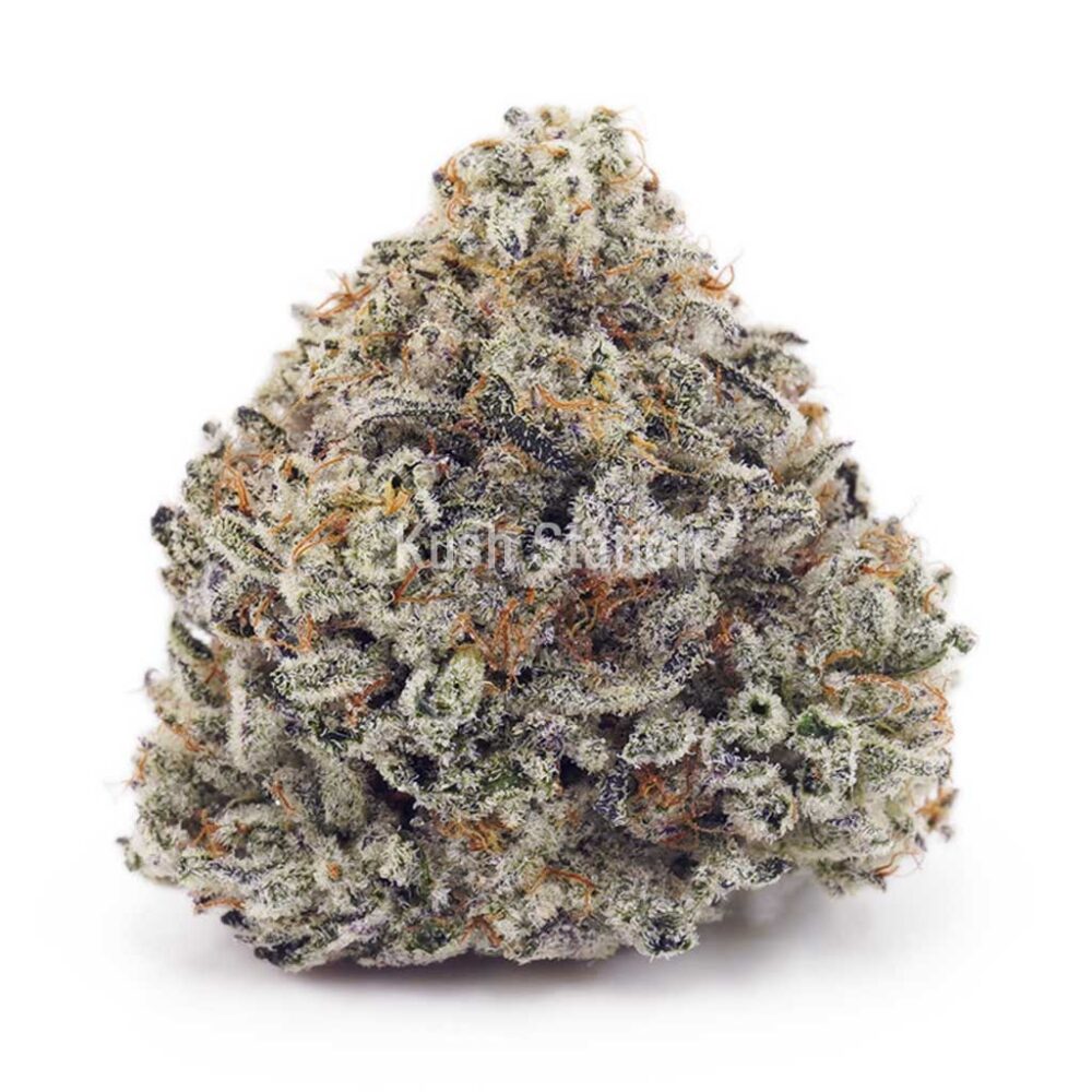 Buy Tropical Punch AA at Kush Station Online Store