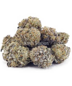 Buy Tropical Punch AA at Kush Station Online Store