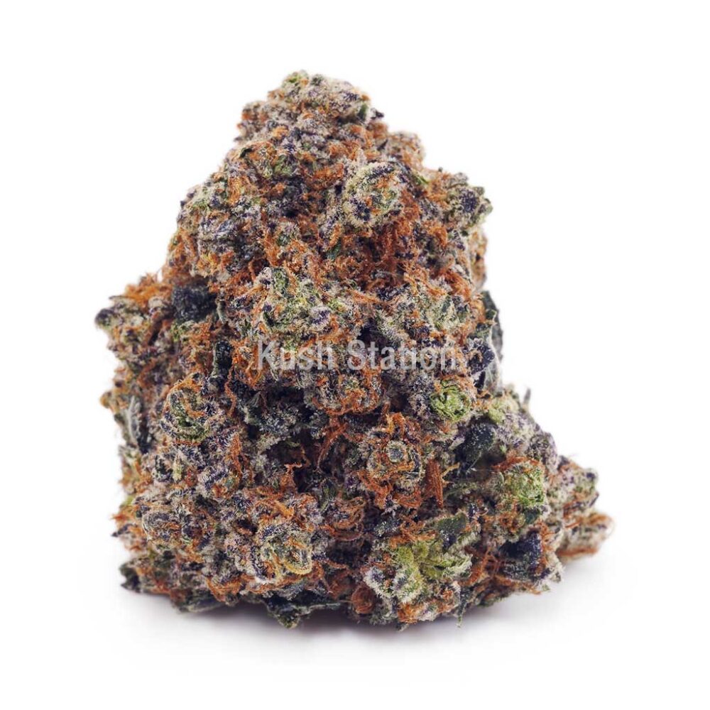 Buy Purple Gelato AA at Kush Station Online Store